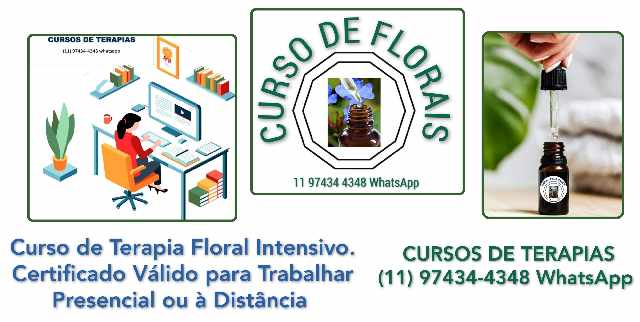 Foto 1 - Curso de terapeuta em floral